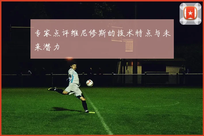 专家点评维尼修斯的技术特点与未来潜力