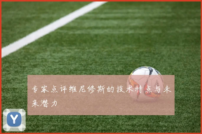专家点评维尼修斯的技术特点与未来潜力