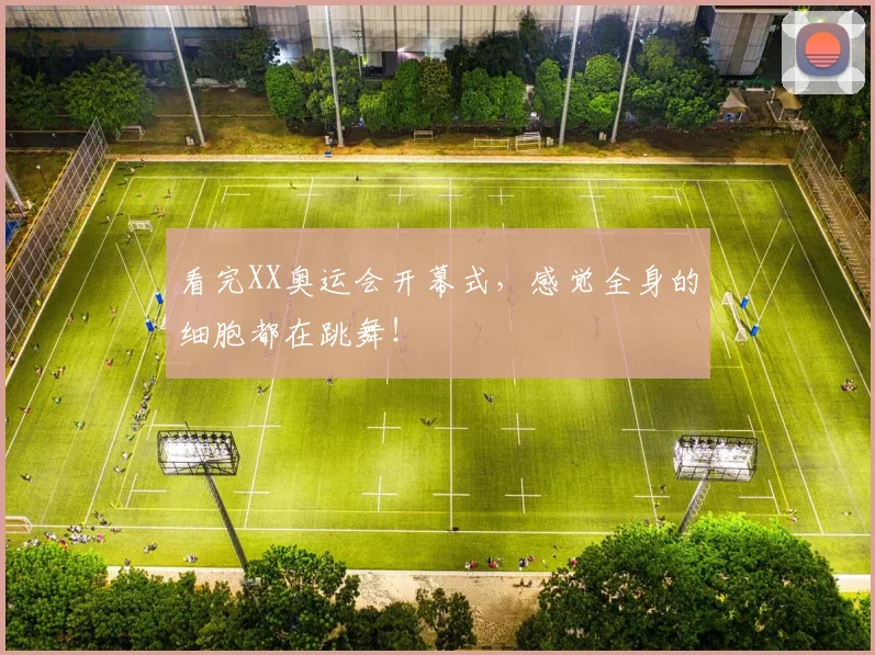 看完XX奥运会开幕式，感觉全身的细胞都在跳舞！