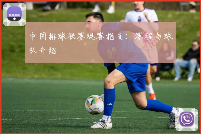 中国排球联赛观赛指南：赛程与球队介绍